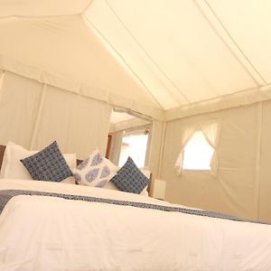 Premium Luxury Tent